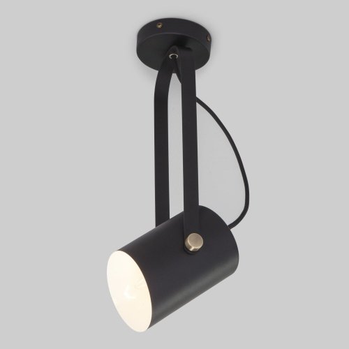 Настенный светильник с плафоном 1*E27 25Вт античная бронза, черный IP20 (20092/1 черный) Eurosvet