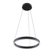 Подвесной светильник 25Вт 4000K Черный IP20 Rim MOD058PL-L22B4K Technical