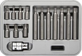 Набор : Биты специальные в пластиковом боксе, TORX, 15 предметов ЗУБР