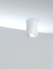 Потолочный светильник 1*GU10 50Вт Белый IP20 Alfa C016CL-01W Technical