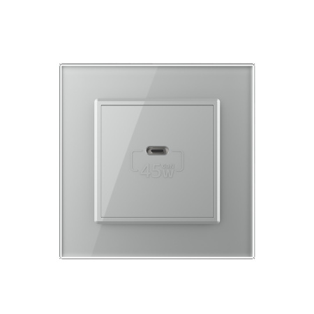 Розетка USB type C с блоком питания 45W Livolo 1 пост Серая VL-C7VUC-2IP