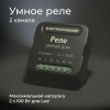 Умное двухканальное реле черный IP20 (a059326) Elektrostandard