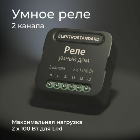Умное двухканальное реле черный IP20 (a059326) Elektrostandard