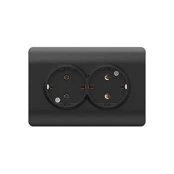 Розетка с/з со шторками двойная, 16А, черный NEW3-E CHINT Розетка с/з со шторками двойная, 16А, черный NEW3-E CHINT