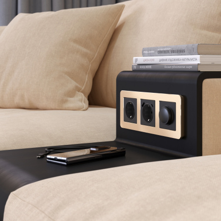 Platinum Рамка на 3 поста шампань Werkel