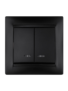 Выключатель 2 кл. с подсветкой 10А графит "Лама" TDM