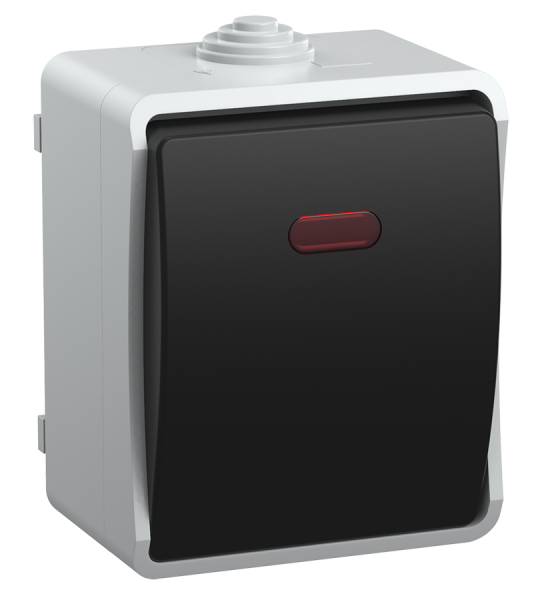 Выключатель 1-клавишный для ОУ с индикацией ВС20-1-1-ФСр ФОРС IP54 IEK