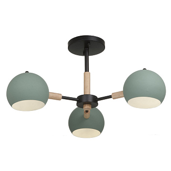 Потолочный светильник 3*E14 40Вт Черный IP20 Trisha FR5032CL-03B Freya