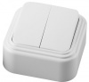 Выключатель STEKKER PSW06-22-20 двухклавишный открытой установки, 250В, 6А, IP20, белый (VA5 6-232-Б)