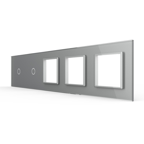 Панель для 2-х сенсорных выключателей и 3-х розеток, 2 клавиши (1+1), цвет серый, стекло Livolo