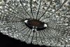 Люстра 6*E14 60Вт Никель IP20 Broche DIA902-06-N Maytoni