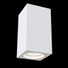 Потолочный светильник 1*GU10 30Вт Белый IP20 Conik gyps C005CW-01W Technical