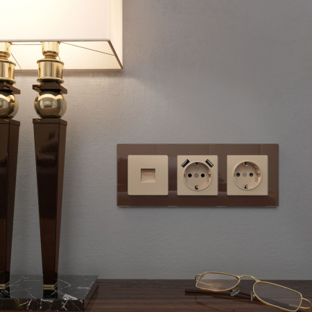 Накладка для USB розетки (шампань) СУ IP20 Werkel