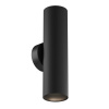 Настенный светильник (бра) 2*GU10 10Вт Черный IP20 Ceiling & Wall C080WL-02-GU10-B Technical Maytoni