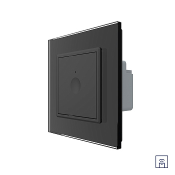 Одноклавишный сенсорный выключатель Module с функцией радиоуправления, цвет черный Livolo
