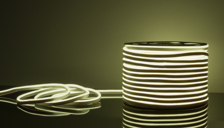 Светодиодный гибкий неон 220V 9.6 Вт/м 6500К IP67 (a040597) Elektrostandard