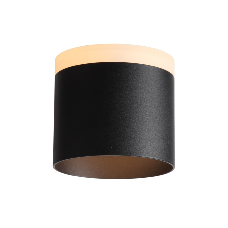 Светильник потолочный Черный LED 1*12Вт 3000К 936Lm Ra>80 120° IP20 D100xH90 170-240В ST102.402.12 ST LUCE