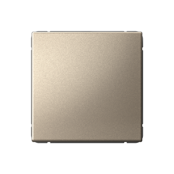 ARTGALLERY 1-клавишный ВЫКЛЮЧАТЕЛЬ КНОПОЧНЫЙ, 10А, механизм, ШАМПАНЬ Systeme Electric