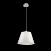 Подвесной светильник 1*E27 60Вт Хром IP20 Clarissa FR5020PL-01CH Freya