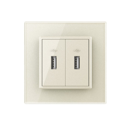 Розетка с двумя USB type-A, блоком питания 5В 2.1А 1 пост, цвет жемчужный Livolo