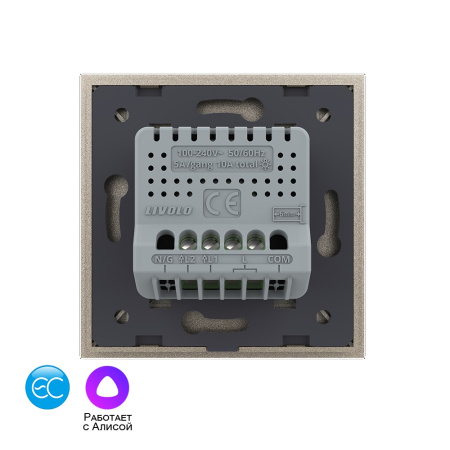 Двухклавишный умный сенсорный выключатель EC, 1 пост, цвет шампань Livolo