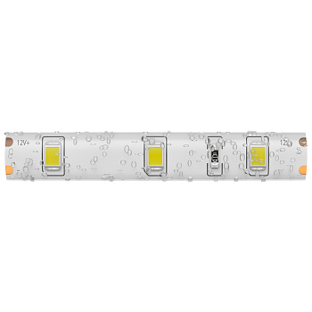 Лента светодиодная 12В 2835 4,8Вт/м 60LED/м 3000K 5м IP65 Technical Maytoni
