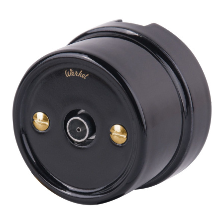 Винты для распределительной коробки/TV розетки 2 шт. (золото) Ретро Werkel