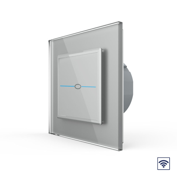 Сенсорный радиоуправляемый выключатель Quadro 1 клавиша 1 пост Серый Livolo