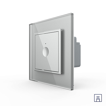 Одноклавишный сенсорный выключатель Module с функцией радиоуправления, цвет серый Livolo