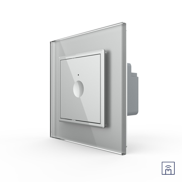 Одноклавишный сенсорный выключатель Module с функцией радиоуправления, цвет серый Livolo