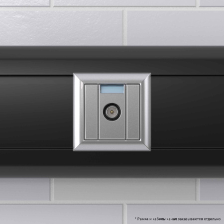 Розетка ТВ проходная "Закаленная сталь" "Avanti", 1 мод DKC