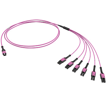 Оптическая разветвительная сборка 12ОВ 50/125 OM4 1xMTP PRO(12)/6хLC Duplex Uniboot 1м (предуст.конф.: MTP Male, тип полярности - прямая (Tx-Rx) DKC