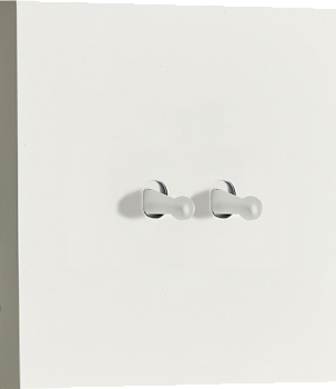 Donel N96 Переключатель на 2 тумблера, Каплевидный, 10AX 250V, Белый, серия DT