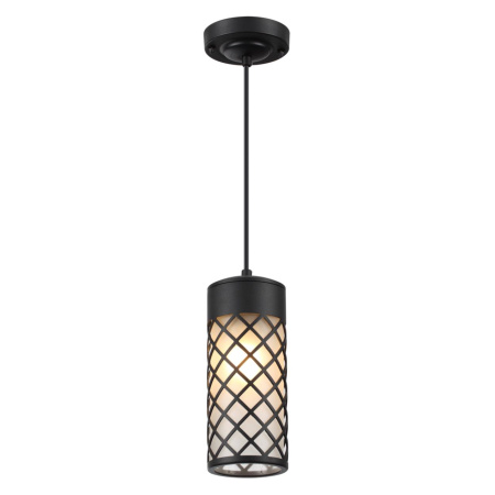 Ландшафтный св-к-подвес E27 1*60W IP44 DUNES черный/стекло ODEON LIGHT