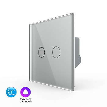 Двухклавишный умный сенсорный выключатель EC, 1 пост, цвет серый Livolo