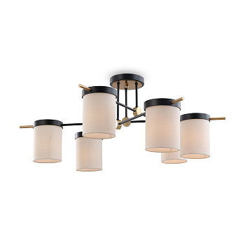 Потолочный светильник 6*E14 40Вт Черный IP20 Bogy FR5377CL-06B Freya