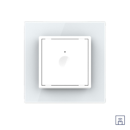 Одноклавишный сенсорный выключатель Module с функцией радиоуправления, цвет белый Livolo