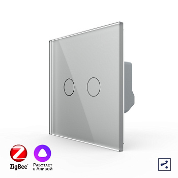 Двухклавишный проходной умный сенсорный выключатель Livolo ZigBee, 1 пост, Серый VL-C702SZ-2IG