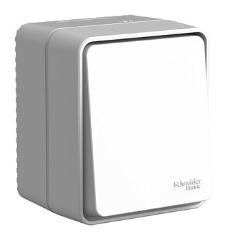 ATLASDESIGN PROFI IP54 О/У 1-клавишный ПЕРЕКЛЮЧАТЕЛЬ 10 АХ, СЕРЫЙ Schneider Electric