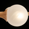 Потолочный светильник 6*E27 60Вт Белый IP20 Amy FR5105CL-06W Freya