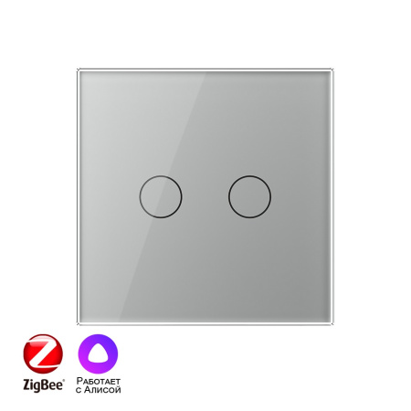 Двухклавишный умный сенсорный выключатель Livolo ZigBee, 1 пост, Серый VL-C702Z-2IG