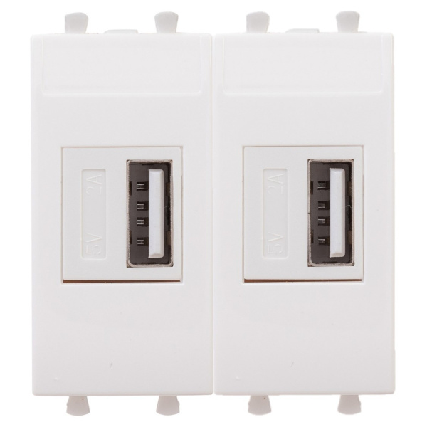 USB зарядное устройство модульное, "Avanti", "Белое облако", 2 модуля DKC