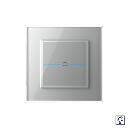 Сенсорный диммер Quadro 1 клавиша 1 пост Серый Livolo