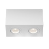 Потолочный светильник 2*GU10 50Вт Белый IP20 Ceiling & Wall C017CL-02W Technical Maytoni