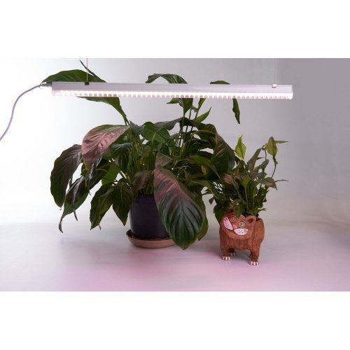 Светодиодный светильник для растений, спектр фотосинтез (полный спектр) 14W, пластик, AL7002 фото 7