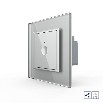 Одноклавишный проходной сенсорный выключатель Module с функцией радиоуправления, цвет серый Livolo