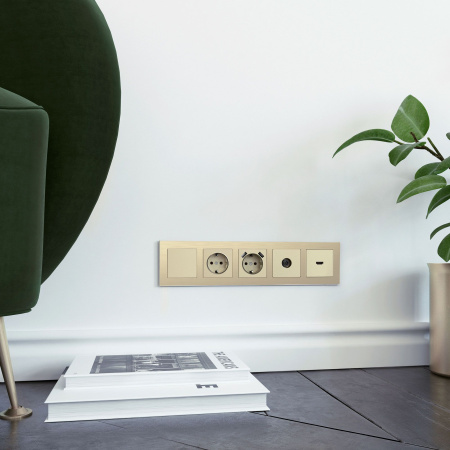 Заглушка (шампань) СУ IP20 Werkel