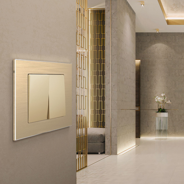 Aluminium Рамка на 1 пост (шампань алюминий) Werkel