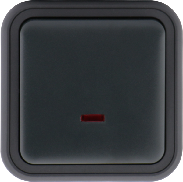 Donel W55 Переключатель 1-кл. накладной с подсветкой, антрацит, IP55, серия (тип) DIP55