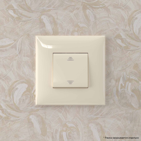 Перекрестный переключатель одноклавишный в стену, "Avanti", "Ванильная дымка" DKC